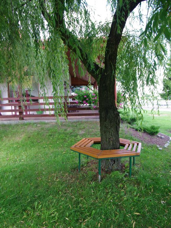 Pokoje Goscinne Stare Miasto  Buitenkant foto